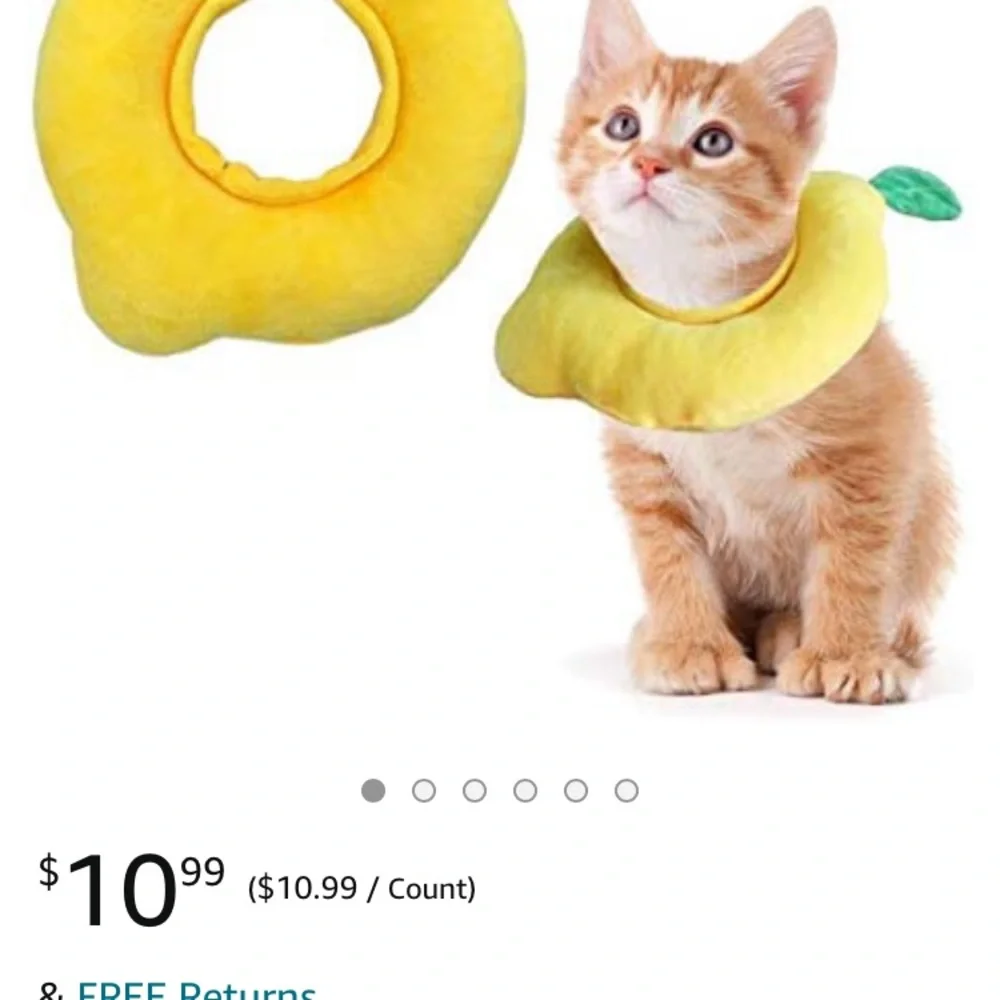 Cat/Small Dog Protective Cone Collars